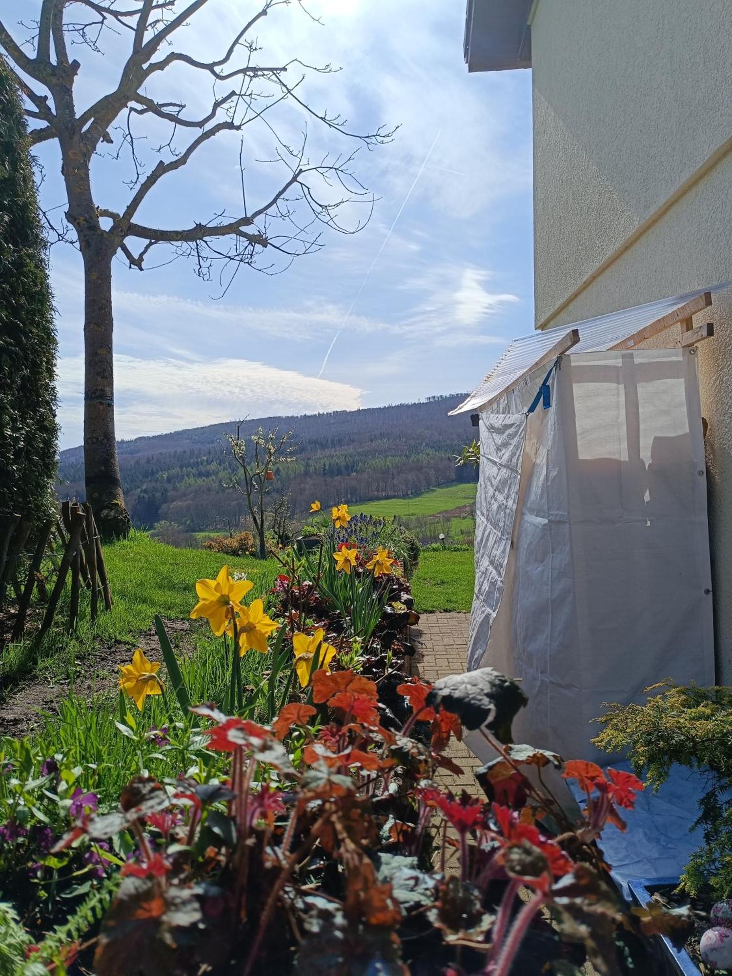 Ferienwohnung Zum Maerchenwald Bergfreiheit Exterior photo